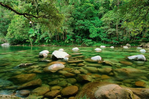 SHUTTLE - Mossman Gorge & Cooya Beach From Port Douglas (Return Transfer) - Darwin Tourism 3