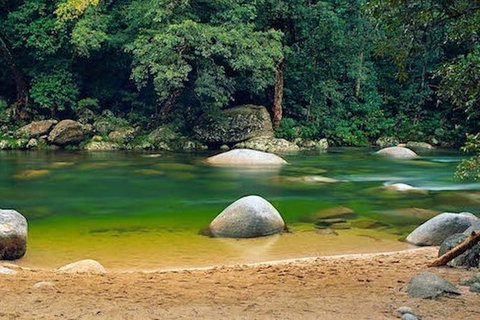 SHUTTLE - Mossman Gorge & Cooya Beach From Port Douglas (Return Transfer) - Darwin Tourism 1