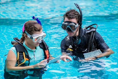 PADI Diving Courses On The Gold Coast - Darwin Tourism 0