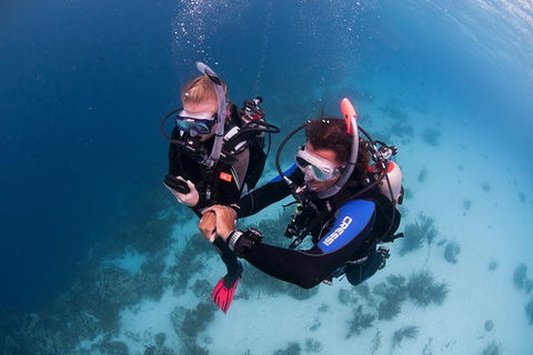 PADI Diving Courses On The Gold Coast - Darwin Tourism 5