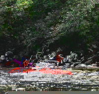 Mossman Gorge Adventure Day - Darwin Tourism