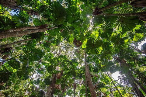 5 Day Australia Retreat: Queensland Daintree - Darwin Tourism 4