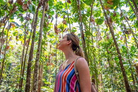 5 Day Australia Retreat: Queensland Daintree - Darwin Tourism 3