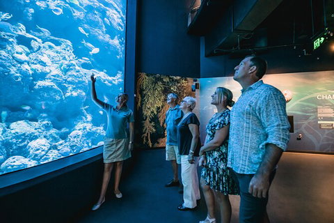 Cairns Aquarium By Twilight With 3 Course Dinner - Darwin Tourism 0