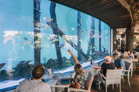 Cairns Aquarium By Twilight With 3 Course Dinner - Darwin Tourism 1