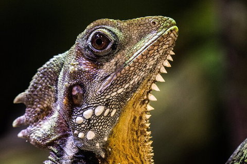 Cairns Aquarium By Twilight With 3 Course Dinner - Darwin Tourism 5