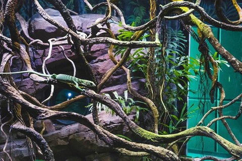 Cairns Aquarium By Twilight With 3 Course Dinner - Darwin Tourism 8