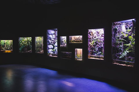 Cairns Aquarium By Twilight With 3 Course Dinner - Darwin Tourism 3