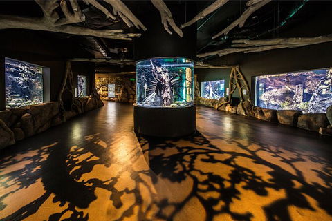 Cairns Aquarium Tour By Twilight With Drink And Appetiser - Darwin Tourism 4
