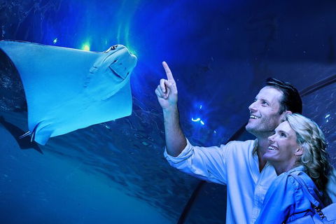 Cairns Aquarium Tour By Twilight With Drink And Appetiser - Darwin Tourism 0