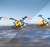 Kangaroo Island Self-Guided Kayaking on the Harriet River - Darwin Tourism