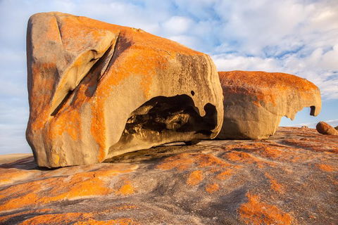 Kangaroo Island Luxury Small Group \'Flinders Chase Focus\' Full Day Tour - Darwin Tourism 1