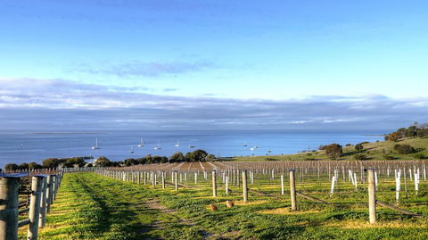 Kangaroo Island Gourmet Food And Wine Trail Tour - Darwin Tourism 3