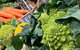 Adelaide Central Market Tour, Picnic, Bikes And City Sights - thumb 1