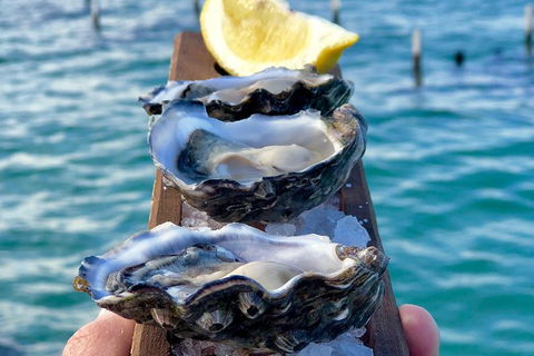 Coffin Bay Oysters, Ocean & Nature Tour - Darwin Tourism 0