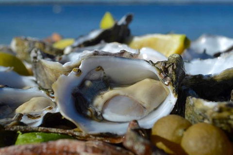 Coffin Bay Oysters, Ocean & Nature Tour - Darwin Tourism 8