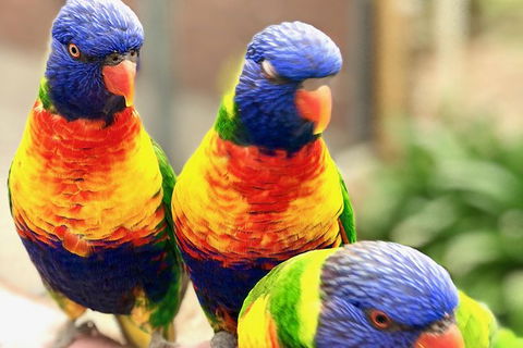 Coffin Bay Oysters, Ocean & Nature Tour - Darwin Tourism 9