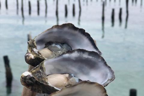Coffin Bay Oysters, Ocean & Nature Tour - Darwin Tourism 6