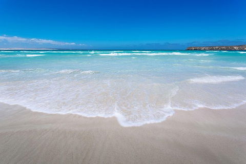 Coffin Bay Oysters, Ocean & Nature Tour - Darwin Tourism 14