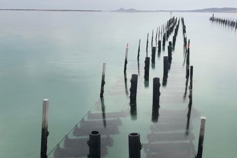 Coffin Bay Oysters, Ocean & Nature Tour - Darwin Tourism 15