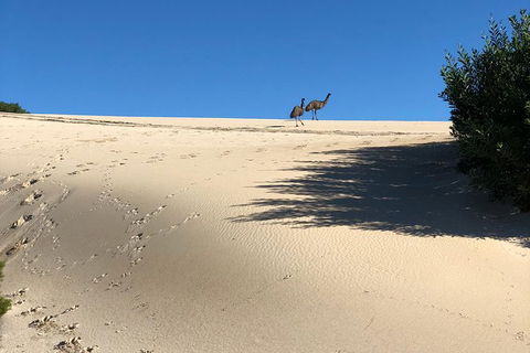 Coffin Bay Oysters, Ocean & Nature Tour - Darwin Tourism 4