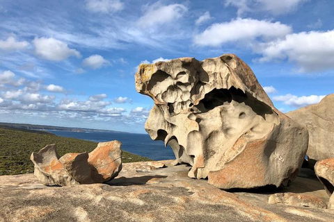 NEW TOUR - Flinders Chase Tour (Recovering From Fires) - Darwin Tourism 2