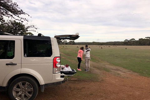 NEW TOUR - Flinders Chase Tour (Recovering From Fires) - Darwin Tourism 6