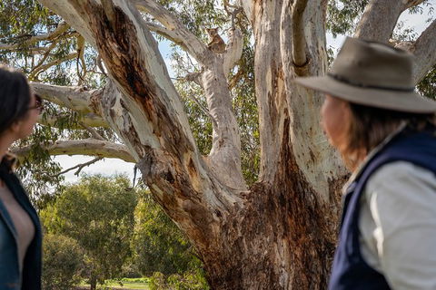 NEW TOUR - Kangaroo Island Road To Recovery Tour (1 Day/1 Night) - Darwin Tourism 2