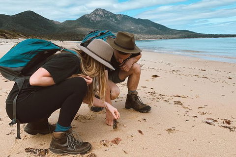 Freycinet Walking Tour - Darwin Tourism 0