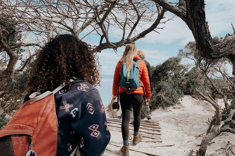 Freycinet Walking Tour - Darwin Tourism 6