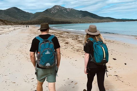 Freycinet Walking Tour - Darwin Tourism 7