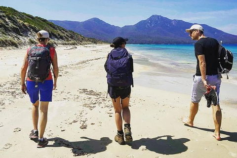 Freycinet Walking Tour - Darwin Tourism 1