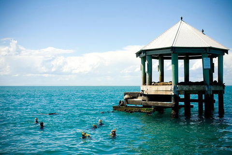 2 Hour Snorkel With The Seals - Darwin Tourism 5