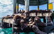 2 Hour Snorkel With The Seals - thumb 3