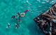 2 Hour Snorkel With The Seals - thumb 1