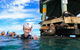 2 Hour Snorkel With The Seals - thumb 0