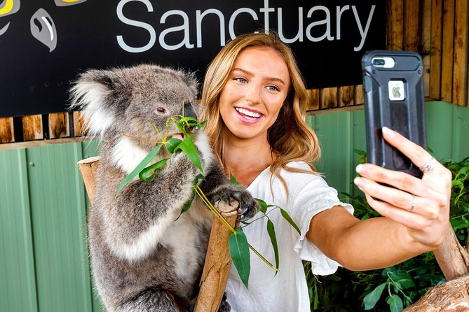 Mornington VIC Darwin Tourism