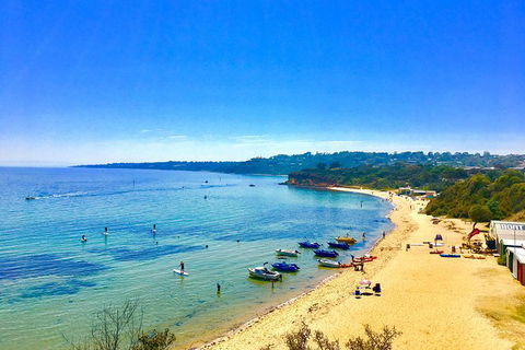 Stand Up Paddle Boarding - Darwin Tourism 5