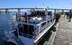Dolphin & Whale Cruise - thumb 1