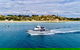 Private 2 Hour Dolphin And Seal Swim Mornington Peninsula - thumb 2