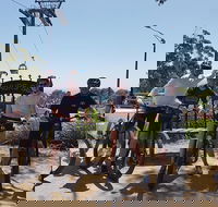 Fully guided E-Mountain Bike Tour on the beautiful Mornington Peninsula. - Darwin Tourism
