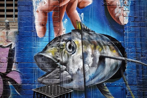 Photography & Culture Tour Of Melbourne, Australia - Darwin Tourism 6