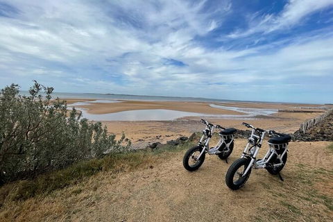 E-Bike Hire Super Cruzer In Phillip Island - Darwin Tourism 3
