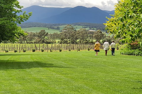Yarra Valley Wine Tasting Day Tour From Melbourne - Darwin Tourism 6
