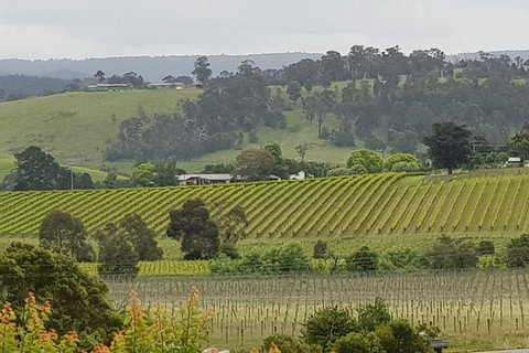 Yarra Valley Wine Tasting Day Tour From Melbourne - Darwin Tourism 0
