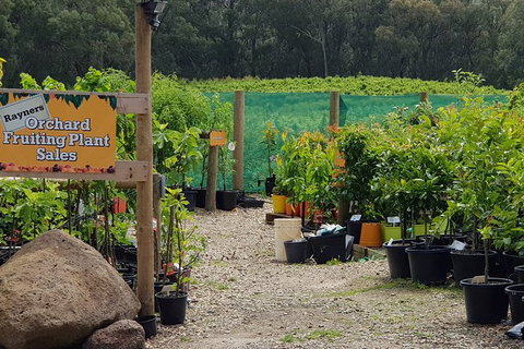 Yarra Valley Wineries And Rayners Orchard Tour From Melbourne - Darwin Tourism 0