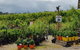Yarra Valley Wineries And Rayners Orchard Tour From Melbourne - thumb 22