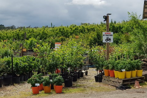 Yarra Valley Wineries And Rayners Orchard Tour From Melbourne - Darwin Tourism 22
