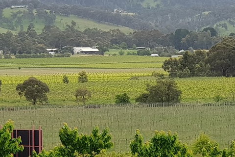 Yarra Valley Wineries And Rayners Orchard Tour From Melbourne - Darwin Tourism 2