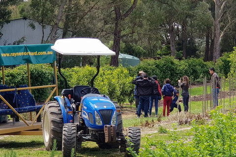 Day Tour Of Yarra Valley Puffing Billy And Rayners Orchard - Darwin Tourism 10